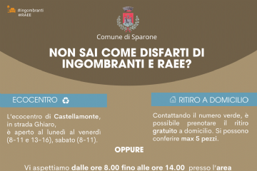 Ritiro Ingombranti e raee